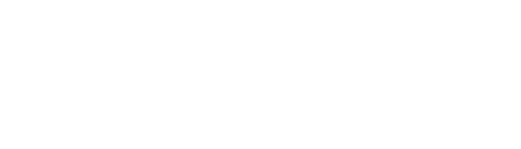 mentegoz technologies